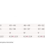 Genumedi Pt Patella Ve Ligament Destekli Dizlik:sol