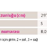EpicoROMs-2019-DET-shoulderstrap-90degree-1659-SBA