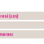 Rhizomed_soft_Kat_MG_1495