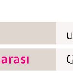 patella tendon support