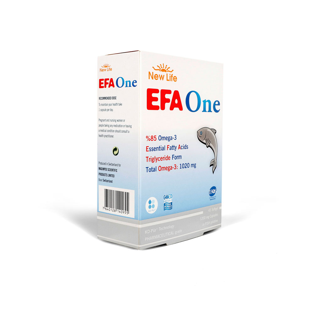 EFA-ONE2