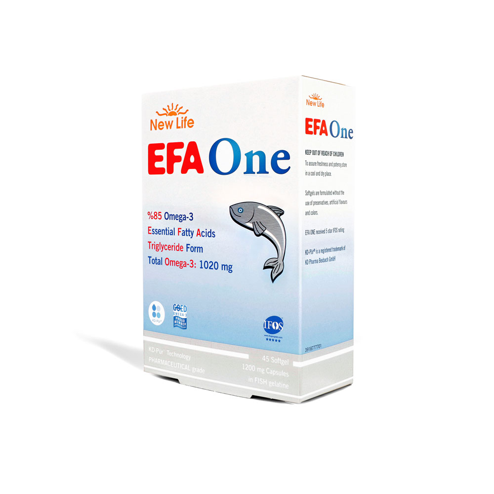 EFA-ONE3